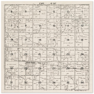 Plat map of Hector Township in Renville County, Minnesota, 1916 Poster