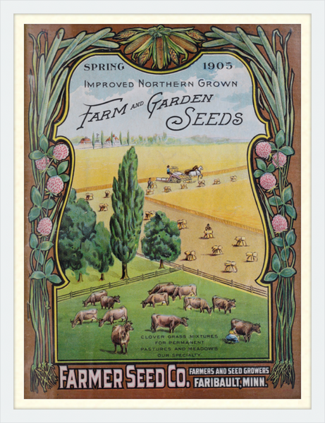 1905 Farmers Seed Company Catalog Cover Framed Print