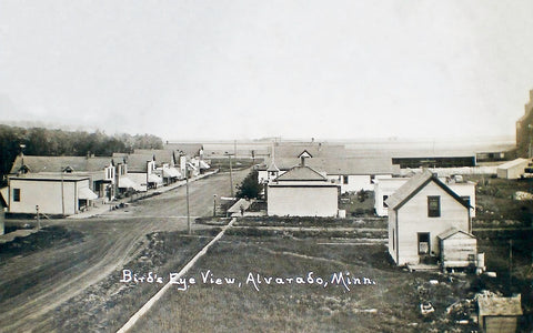 Rare birds-eye view of Alvarado, Minnesota, 1914 Postcard Reproduction