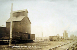 Elevators and Train Tracks, Buffalo Lake, Minnesota, 1908 Postcard Reproduction
