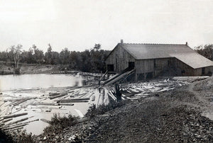 Wilcox Sawmill, Frazee, Minnesota, 1890 Print