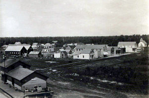 View of town and depot, Gonvick, Minnesota, 1907 Print