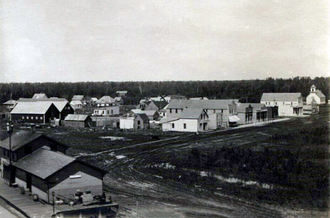 View of town and depot, Gonvick, Minnesota, 1907 Postcard Reproduction