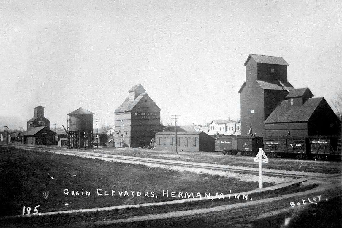 Depot and elevators, Herman, Minnesota, 1911 Minnesota Postcard Reproduction