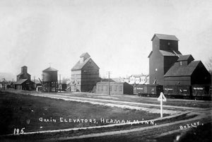 Depot and elevators, Herman, Minnesota, 1911 Print