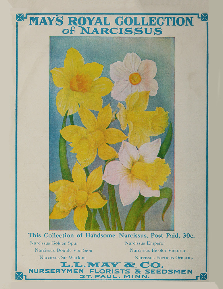 L. L. May Company, St. Paul, Minnesota 1910 Ad Print