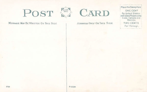 Depot, Lake City, Minnesota, 1908 Postcard Reproduction