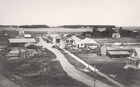 Street scene, Louisburg, Minnesota, 1910s Postcard Reproduction