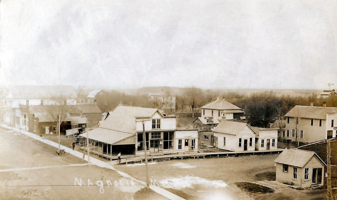 Street Scene Magnolia Minnesota 1910s Postcard Reproduction