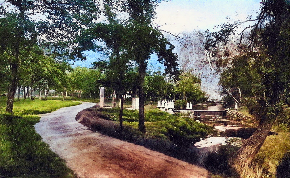 Mineral Spring Park, Owatonna Minnesota 1910s Postcard Reproduction