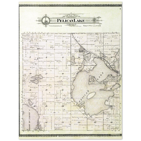 Plat map of Pelican Lake Township in Grant County, Minnesota, from 1900 Premium Matte Paper Poster