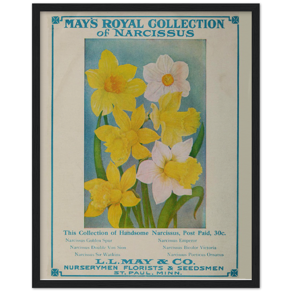 L. L. May Company, St. Paul, Minnesota 1910 Ad Archival Matte Paper Wooden Framed Poster