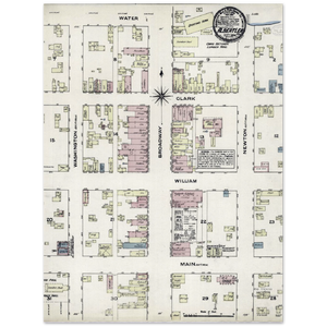 anborn Fire Insurance Map of Albert Lea, Minnesota, 1884 Archival Matte Paper Poster