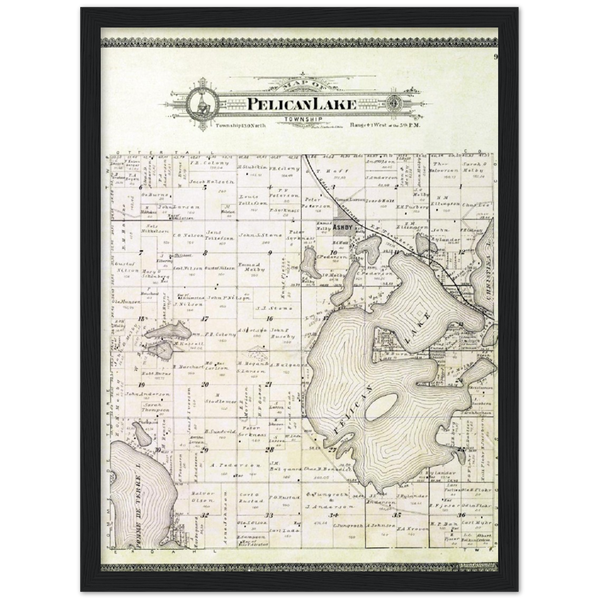 Plat map of Pelican Lake Township in Grant County, Minnesota, from 1900 Wooden Framed Poster