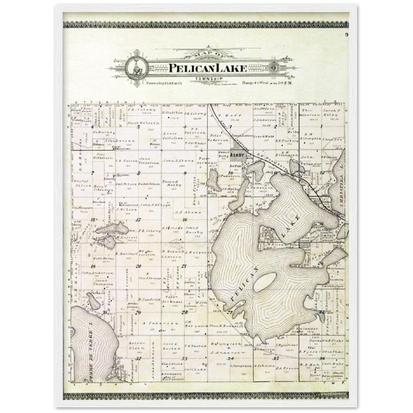 Plat map of Pelican Lake Township in Grant County, Minnesota, from 1900 Wooden Framed Poster