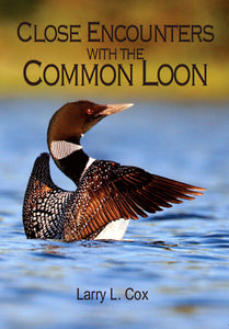 Close Encounters with the Common Loon